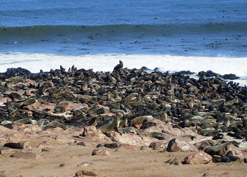 skeleton-coast