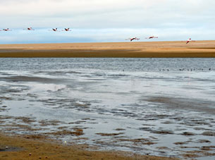 Lake Oponono Wetlands